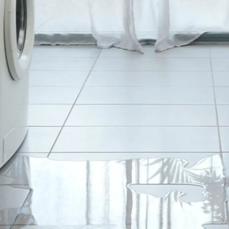 Appliance Leak Cleanup in Victoria, MN