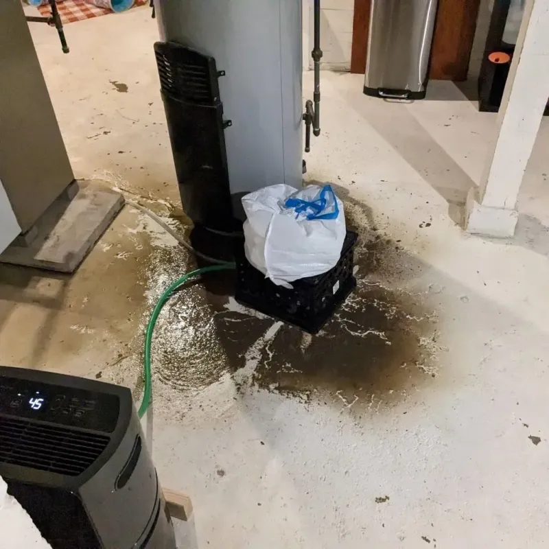 Sewage Backup Cleanup Service in Victoria, MN
